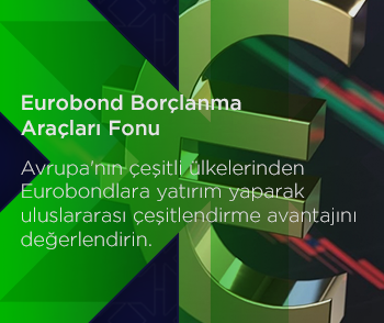 EUROBOND BORÇLANMA ARAÇLARI FONU